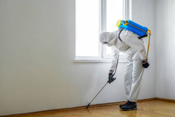 Best Residential Pest Control  in Birch Run, MI